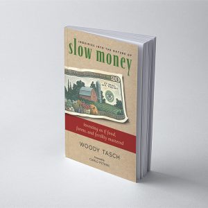 Inquiries into the Nature of Slow Money