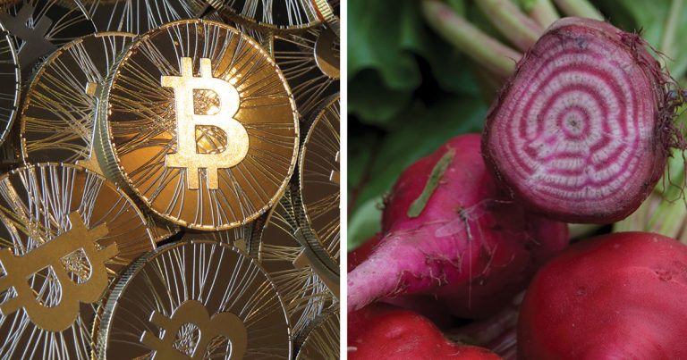 From Bitcoin To Beetcoin
